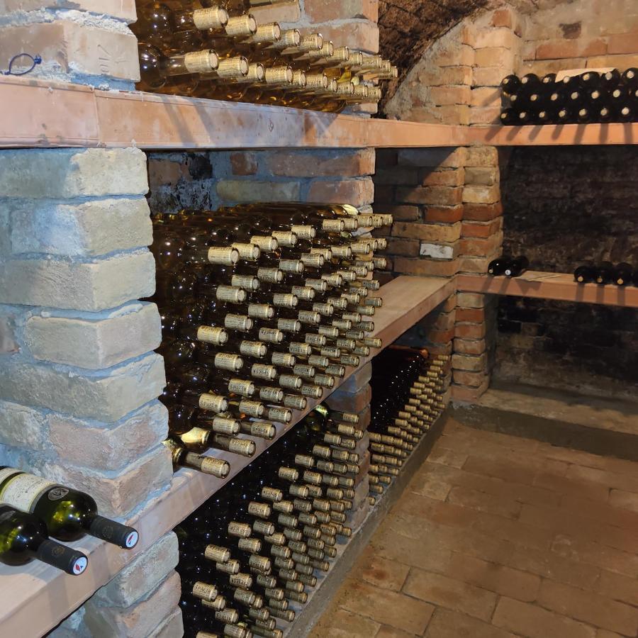 Apartman Cabernet Velké Pavlovice Eksteriør billede