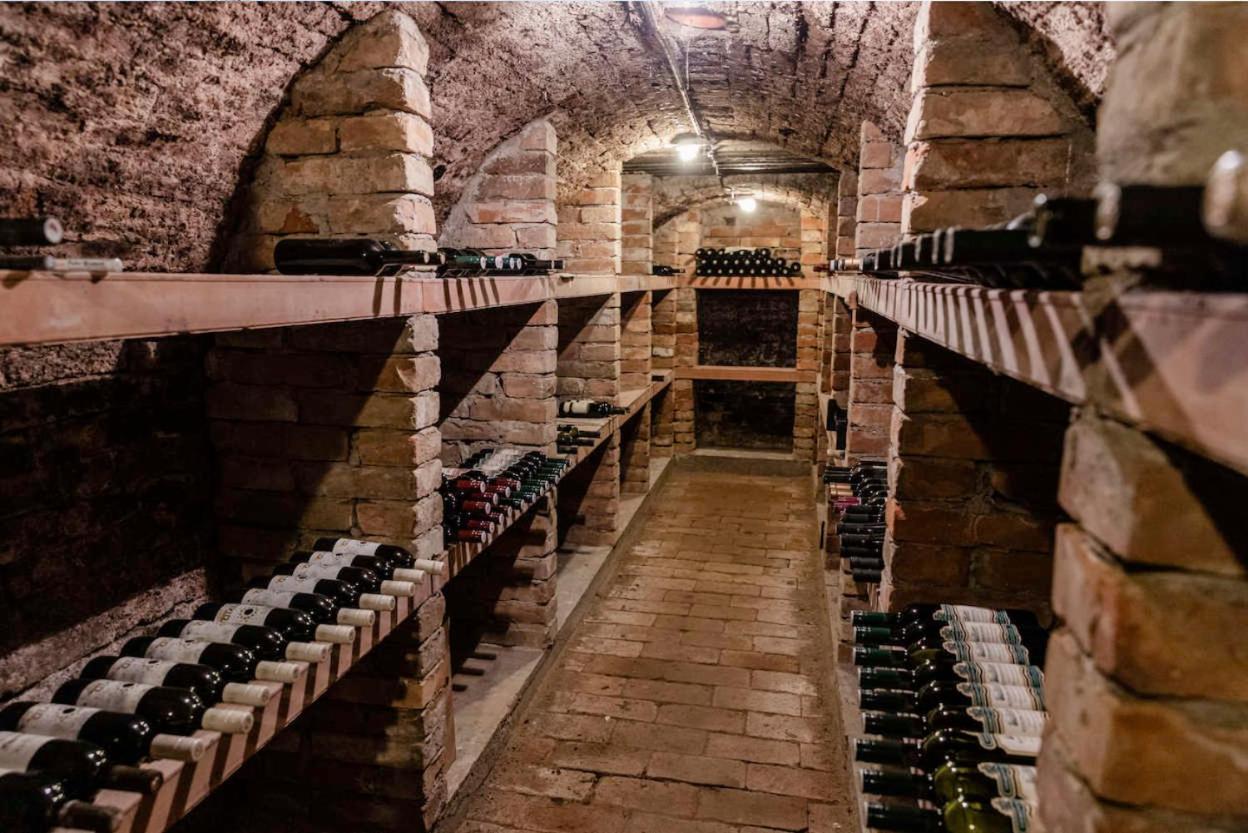 Apartman Cabernet Velké Pavlovice Eksteriør billede
