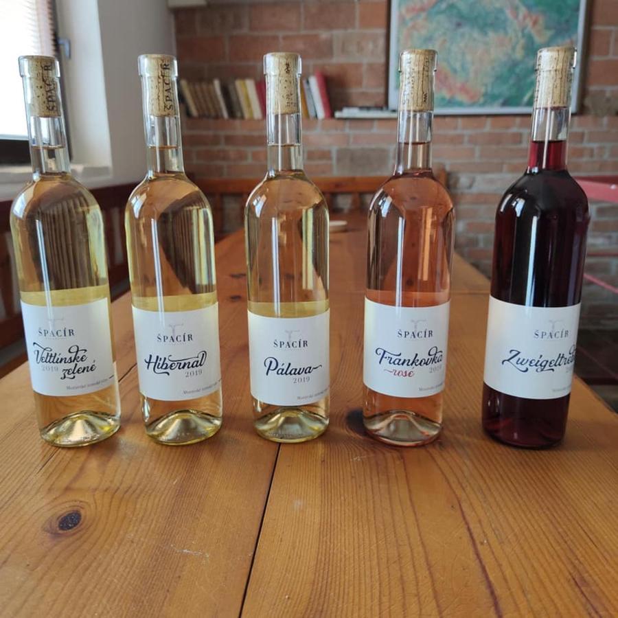 Apartman Cabernet Velké Pavlovice Eksteriør billede