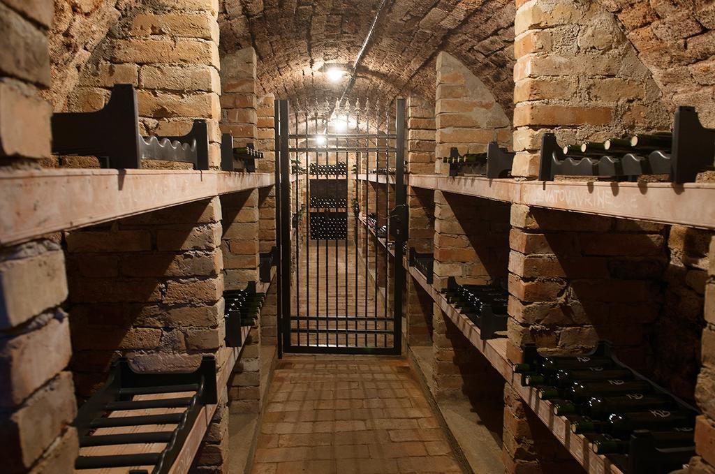 Apartman Cabernet Velké Pavlovice Værelse billede